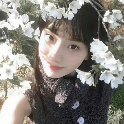 乃木坂春香的秘密